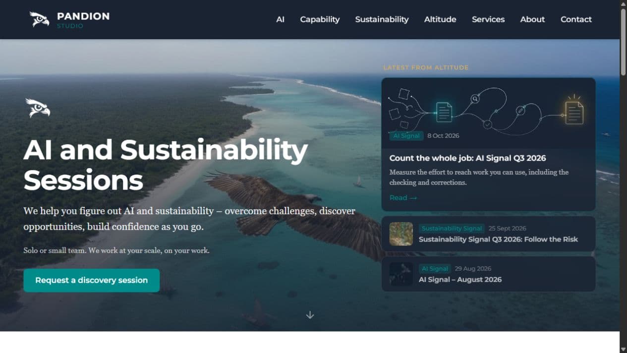Pandion Studio homepage with its coastal artwork, advisory introduction and editorial features