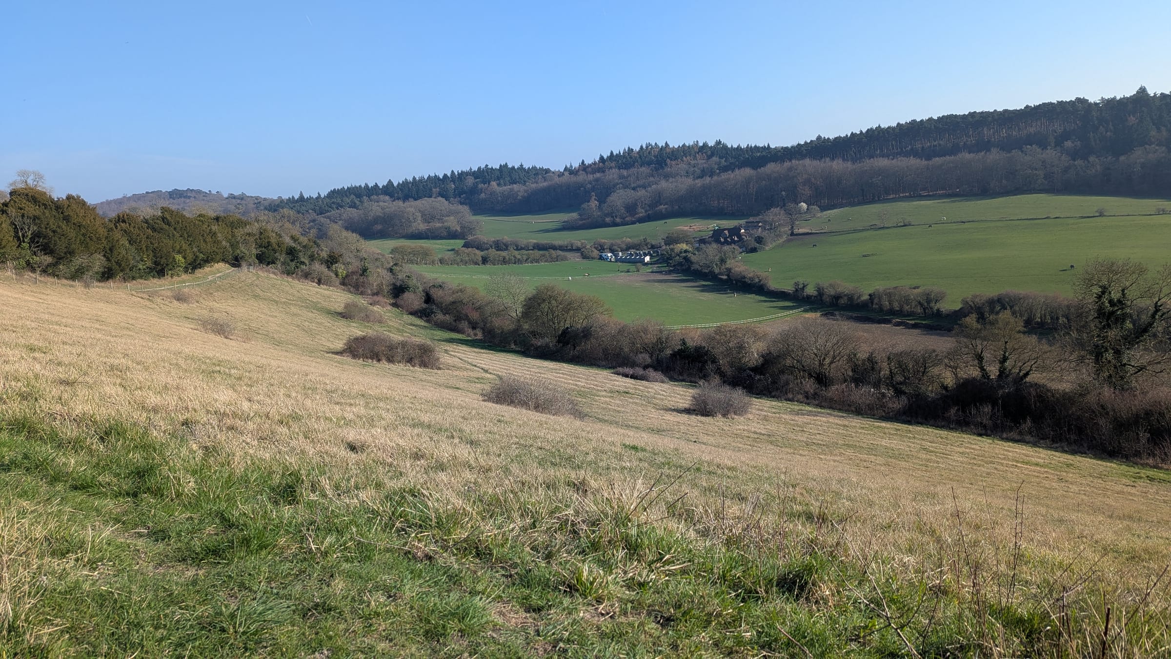 Surrey Hills landscape